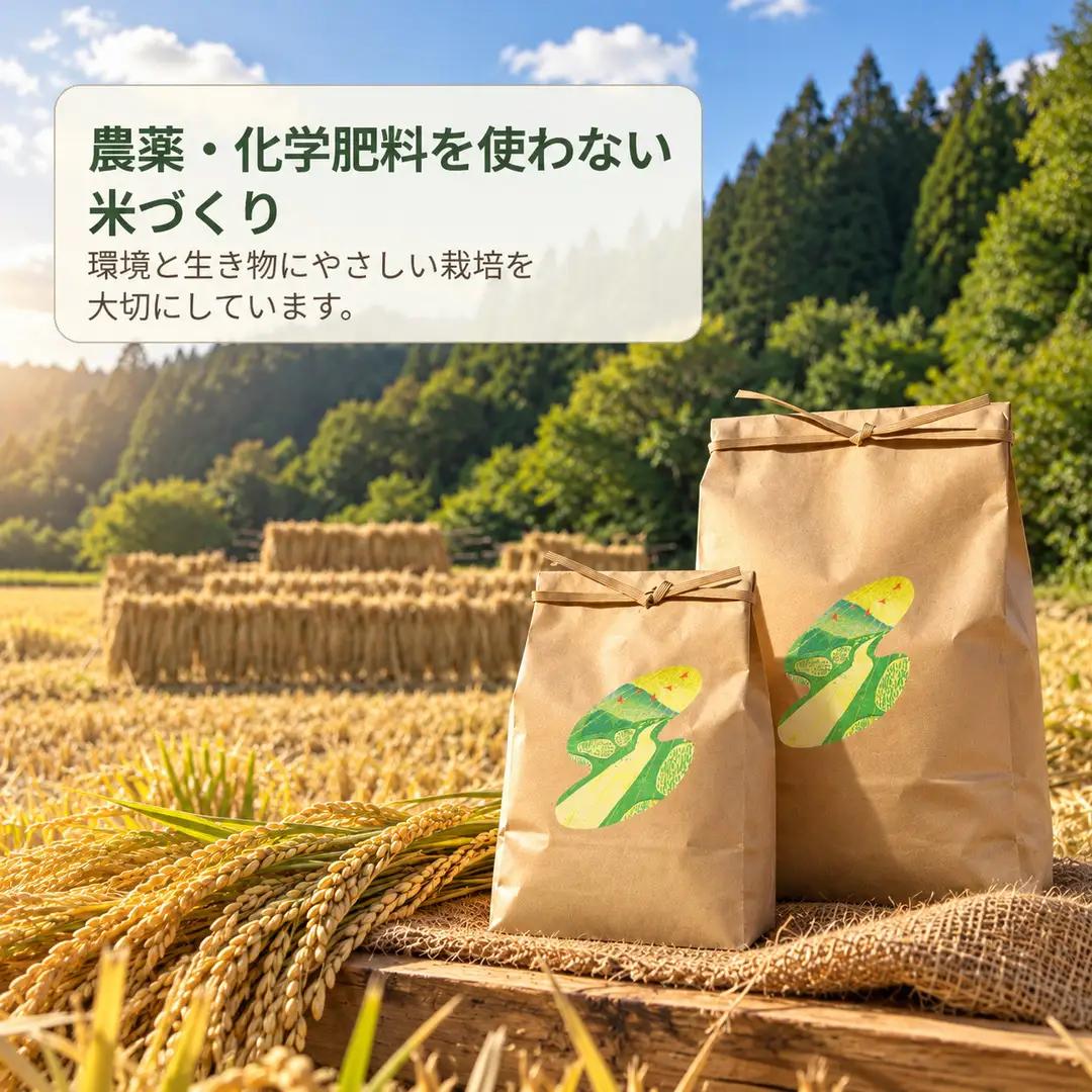 【令和8年産】佐渡産コシヒカリ 精米5kg ミライサト