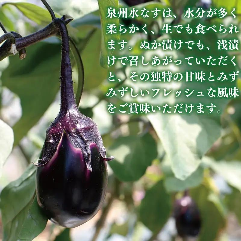 水なすの青果と白ぬか漬け4個セット