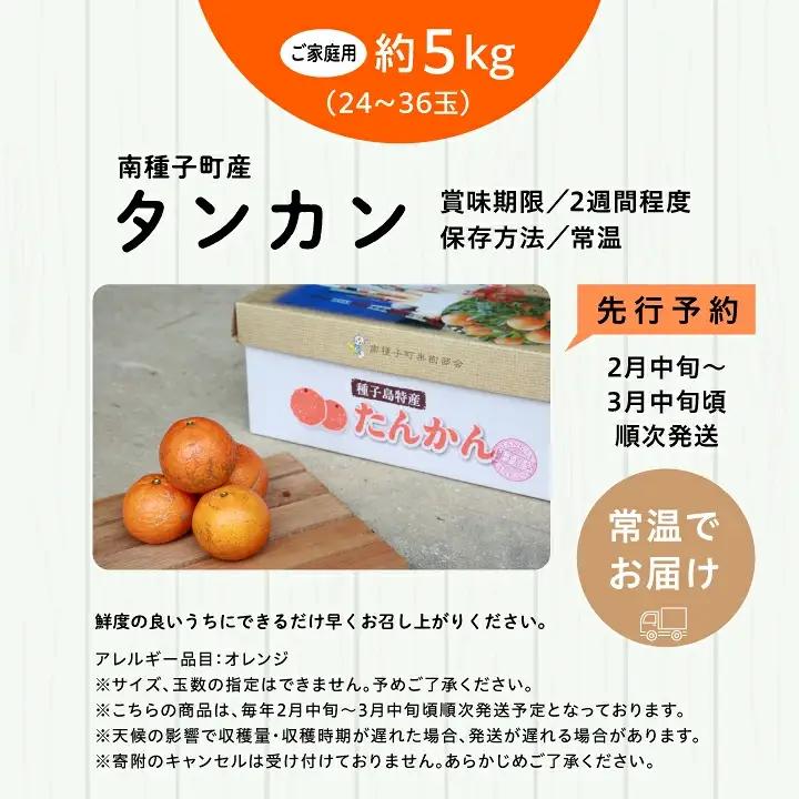 《 先行予約 》種子島産 タンカン (ご家庭用) 約5kg (24玉～36玉)【2027年2月中旬～3月中旬頃順次発送】【訳あり】【南種子町果樹部会】