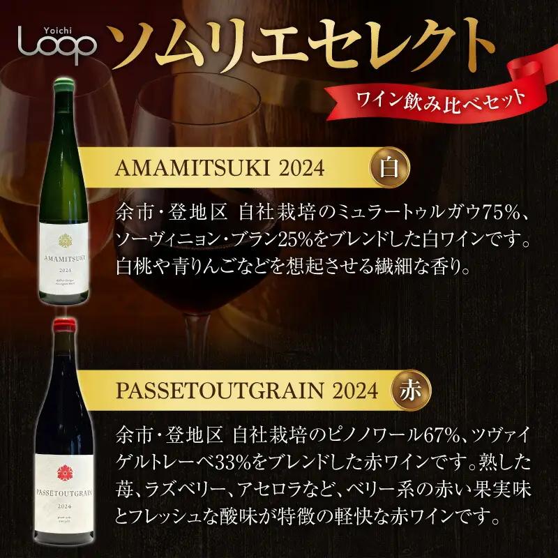 Yoichi LOOP ソムリエセレクト 余市町産ワイン【赤/白】AMAMITSUKI 2024・PASSETOUTGRAIN 2024 3本セット_Y055-0079