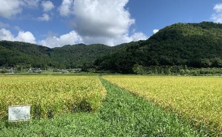 令和6年産 抜群の味と香り 丹波篠山産コシヒカリ5kg×1山椒醤油漬セット AD29