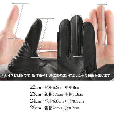 ふるさと納税 京都市 ※2025年10月以降順次お届け※【ぎんやんま】本羊革手袋  紳士グローブ(ブラック/Mサイズ) |  | 03