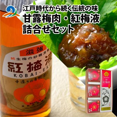 ふるさと納税 南越前町 江戸時代から続く伝統の味「甘露梅肉」「紅梅液」 詰合せセット