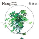 【ふるさと納税】GRAVIRoN Hang Plants シリーズ プランツハンガー Round (酸洗鉄) ハンギングプランツ プランター ハンギング エアプランツ 吊るす 植物ホルダー 観葉植物 インテリア 金属製 おしゃれ モダン 日本製 送料無料