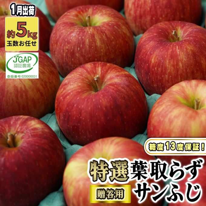 【ふるさと納税】1月発送【 糖度保証 】贈答用 葉取らず サンふじ 約 5kg 【 特選 】鶴翔りんごGAP部会 青森県産 津軽産 リンゴ 林檎 果物 JGAP認証 安心 丸かじり 甘い 高糖度 ギフト 　お届け：2026年1月10日～2026年1月25日