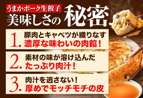 餃子 うまかポーク生餃子 150個（30個）《7-14営業日以内に出荷予定(土日祝除く)》餃子  皮モチモチ---fn_fozupgz_wx_23_15000_150p---