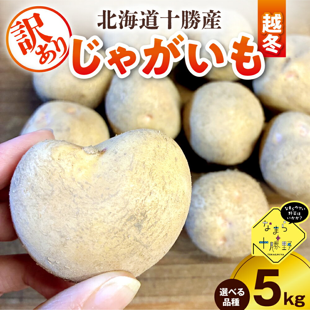 【ふるさと納税】 【訳あり】 農家応援 じゃがいも ( 越冬 ) 5kg ( 選べる 品種 : キタアカリ / はるか / メークイン / 北海こがね )【2月上旬～4月下旬頃配送】 / 芋 おいも ジャガイモ 肉じゃが シチュー カレー ポテトサラダ 炒め物 産地直送 北海道 十勝 芽室町