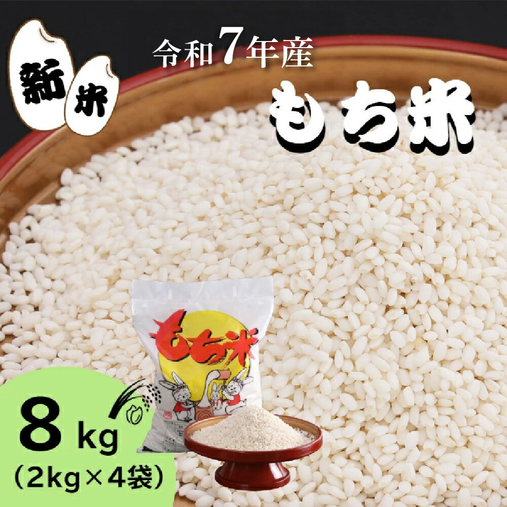【ふるさと納税】★精米 新米 もち米 8kg★令和7年産 もち米 8kg（2kg×4袋）米 お米 精米 こめ コメ モチ もち もち米 赤飯 お餅 餅 餅米 新米 おはぎ おもち おこわ 限定 グルメ お取り寄せ 高知県 田野町 国産 送料無料 故郷納税