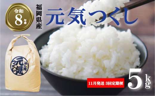 【 期間限定!! 寄付額改定!!】令和8年産先行予約！初回2026年11月発送 元気つくし  5kg  ／ 3回定期便 ふるさと納税限定 ふるさと納税限定品 お米 米 白米 食品 ご飯 飯 九州 福岡県 川崎町