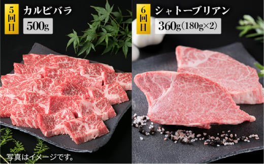 糸島 黒毛和牛（ 博多 和牛 ） 高級 部位 の 定期便 セット 全9回（月1回） 2人前 4,12kg 《糸島》 【糸島ミートデリ工房】 [ACA109] 定期便 肉 食べ比べ  希少 ランキング 