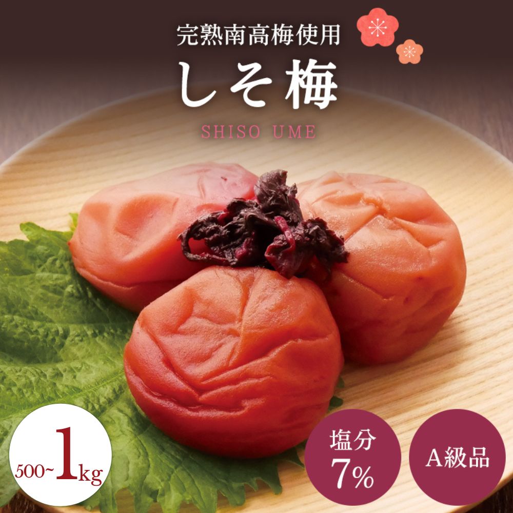 【ふるさと納税】【A級品】 紀州南高梅 しそ梅 500g 1kg 塩分12％ / 梅干し 梅干 うめぼし 南高梅 しそ梅 しそ梅干し シソ 紫蘇 国産 梅 うめ ウメ 完熟 健康 ご飯のお供 贈り物 ギフト プレゼント お取り寄せ せんのうめ 和歌山県 田辺市 仙宝