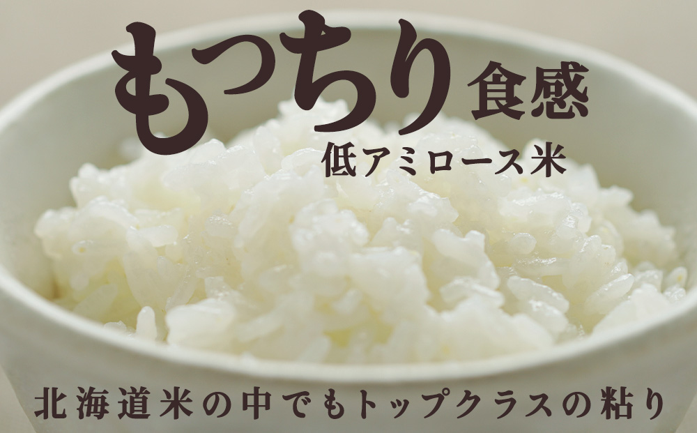 【定期便2カ月】北海道産おぼろづき　5kg×2　計10kg 【配送不可地域：離島・沖縄県】