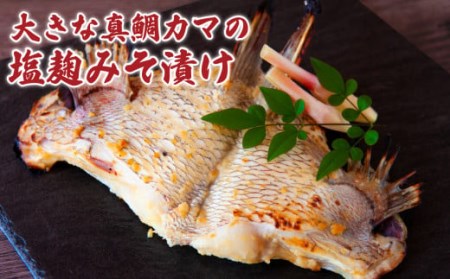 鯛 専門店の 大きな鯛カマ２種 ＜塩麹みそ漬け／煮付け＞（約500g）ME-71