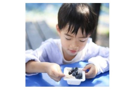 【先行予約】 冷凍ブルーベリー１㎏　西条ブルーベリー農園 ブルーベリー 冷凍 2024年7～9月発送