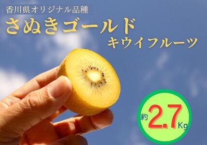 ＜先行受付　2025年発送＞さぬきゴールド　キウイフルーツ　約2.7kg | キウイフルーツ キウイフルーツ キウイフルーツ キウイフルーツ キウイフルーツ