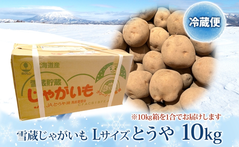 雪蔵じゃがいも 10kg とうやＬサイズ 2026年3月上旬～3月末までお届け ジャガイモ 芋 甘い なめらか しっとり ポタージュ カレー 調理 料理 煮込み料理 雪蔵 旬 季節 農作物 野菜 根菜