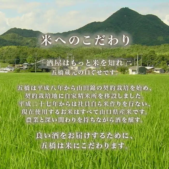 五橋 紙カップ 180ml 30本【酒井酒造】