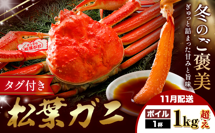 【ふるさと納税】カニ 松葉ガニ 1kg超え ボイル 1杯 《11月発送》 SOO合同会社 鳥取県 八頭町 送料無料  蟹 かに 姿 鍋 ズワイガニ  ズワイ蟹 ボイル 松葉ガニ
