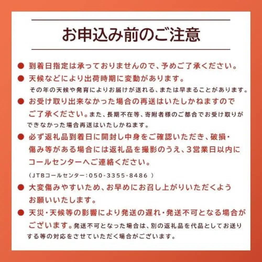 1255.【2026年度発送先行予約】訳あり　新甘泉　3kg