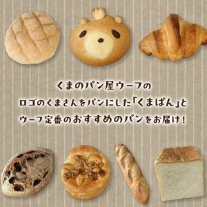 くまぱんセット　～くまぱんのおすすめパン～　パン くまぱん クロワッサン メロンパン クルミ カシューナッツ レーズン バゲット 角食パン おすすめ 奈良県 生駒市 送料無料