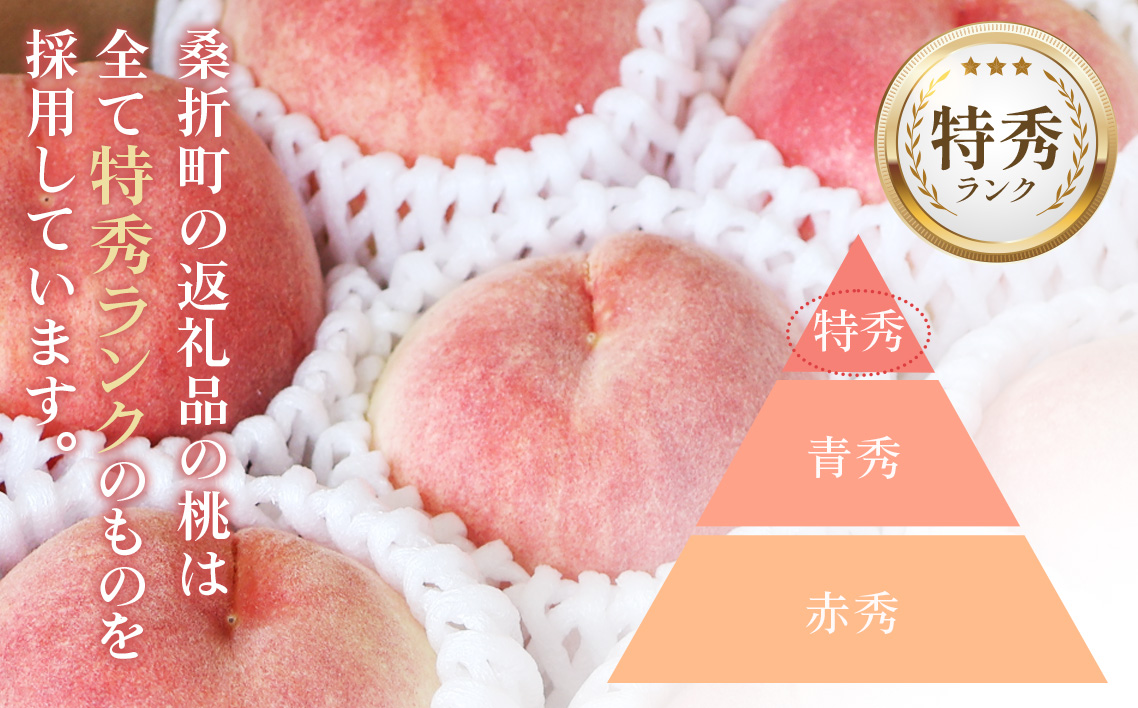 もも【川中島白桃・2026年産先行受付】特秀1.2kg　桑折町産　JAふくしま未来　桃 No.227