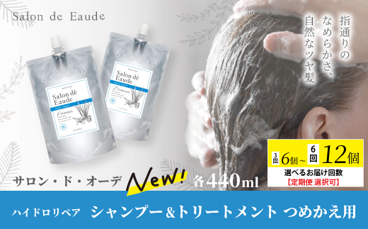3回 定期便 サロン・ド・オーデ ハイドロリペア シャンプー ＆ トリートメント つめかえ用 各 440ml 2本 セット 合計 6本 ダメージ補修 ボトル 液体 アロインス製薬 美容 美容品 化粧品