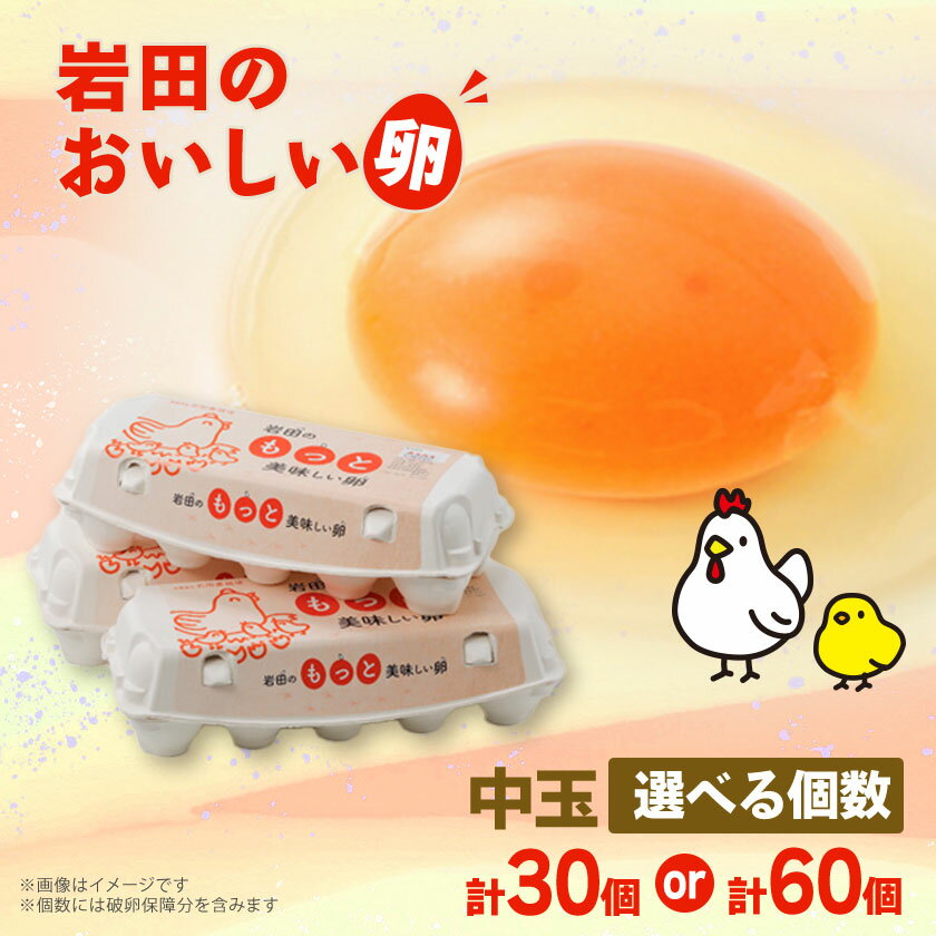岩田のおいしい卵　実用中玉60個 (10個入り×6パック)