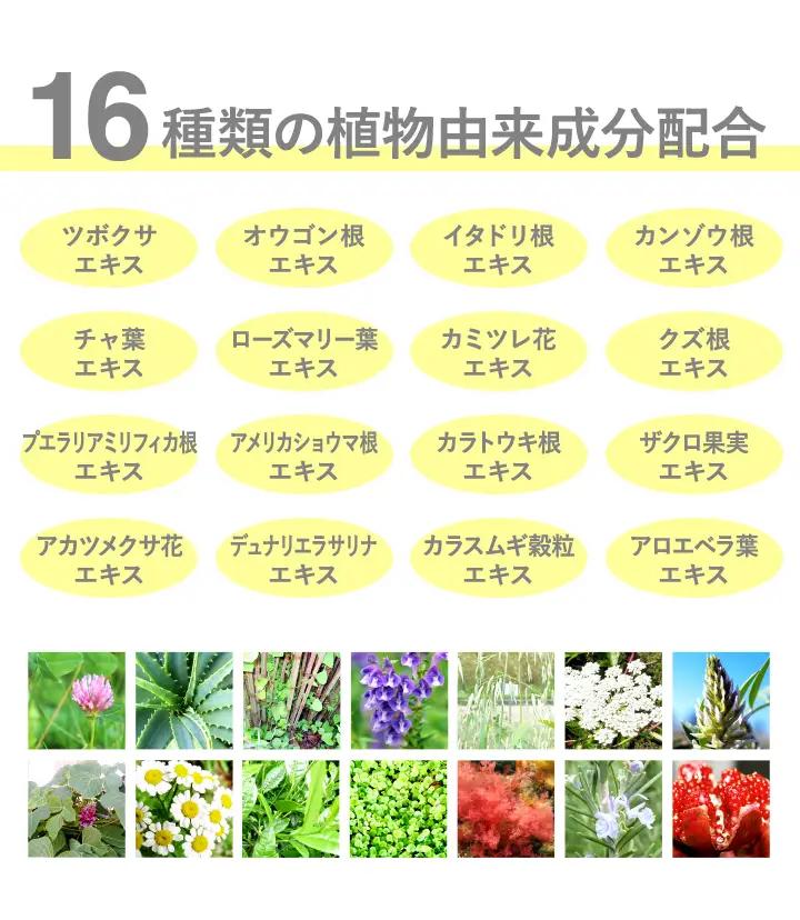 MIRACOCO （ミラココ）リンクルール 5g / コスメ コスメ