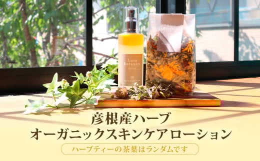 オーガニック スキンケアローション 100ml オリジナルブレンドハーブティ 25g 化粧水 化粧品 スキンケア ケア ハーブティー 贈答 ギフト 滋賀 彦根