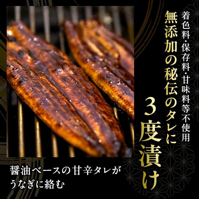 うなぎ 浜名湖 真空長蒲焼 詰め合わせ 4尾 約150g×4 国産 【配送不可：離島】
