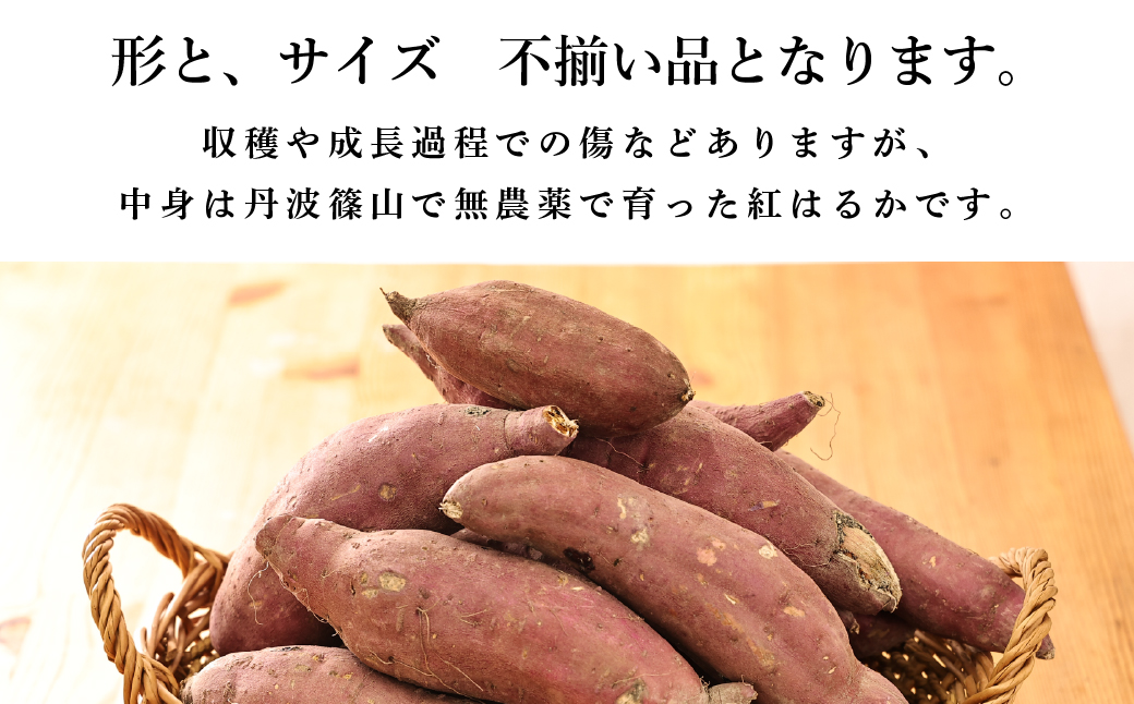 【先行予約】さつま芋　紅はるか　サイズ混合　5kg　│ さつまいも サツマイモ さつま芋 甘い ホクホク 焼き芋 焼芋 焼いも