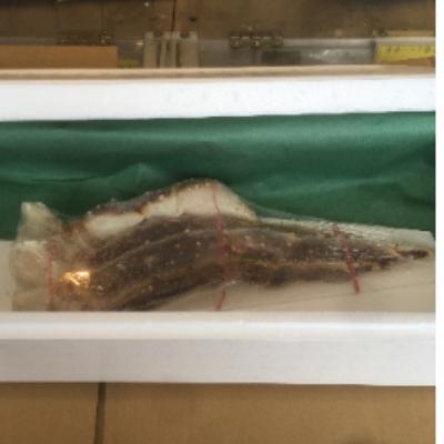 ふるさと納税 網走市 生冷凍タラバ蟹脚半身(約800g) |  | 02