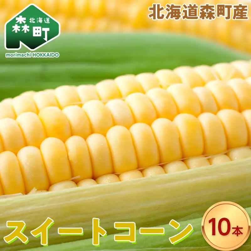 スイートコーンイエロー Lサイズ 10本 北海道森町産 （令和8年7月下旬から順次発送予定） ＜こうのファーム＞ とうもろこし トウモロコシ とうきび トウキビ 唐黍 mr1-0894
