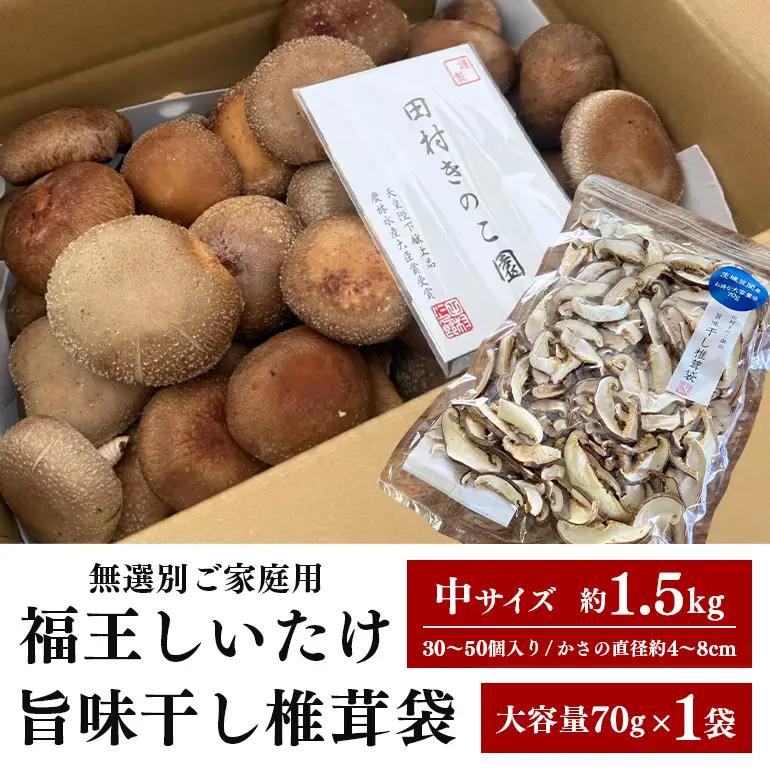 【先行予約/2026年10月末以降発送】ご家庭用福王しいたけ(中サイズ1.5kg）＆干し椎茸お得袋セット IA-020