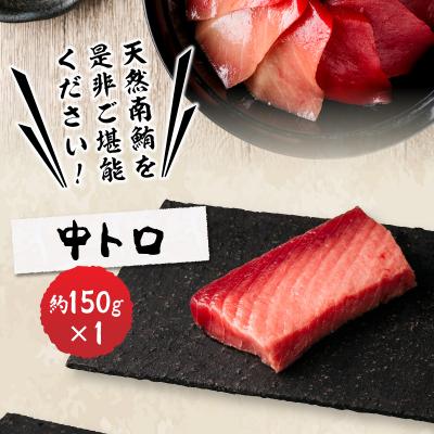 ふるさと納税 焼津市 総重量約800g!天然南鮪づくし(a20-242) |  | 01