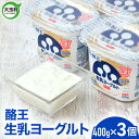 【ふるさと納税】 酪王 生乳 ヨーグルト 加糖 400g × 3個 ｜ 香料 安定剤 不使用 乳酸菌 腸活 プロバイオティクス 健康 美容 福島 大玉村 ご当地 乳製品 朝食 | pl-yo-400g-3s