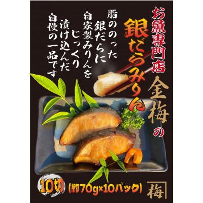 ふるさと納税 鳥栖市 お魚専門店 金梅の銀だらみりん 10切(約70g×10パック) 冷凍 | 