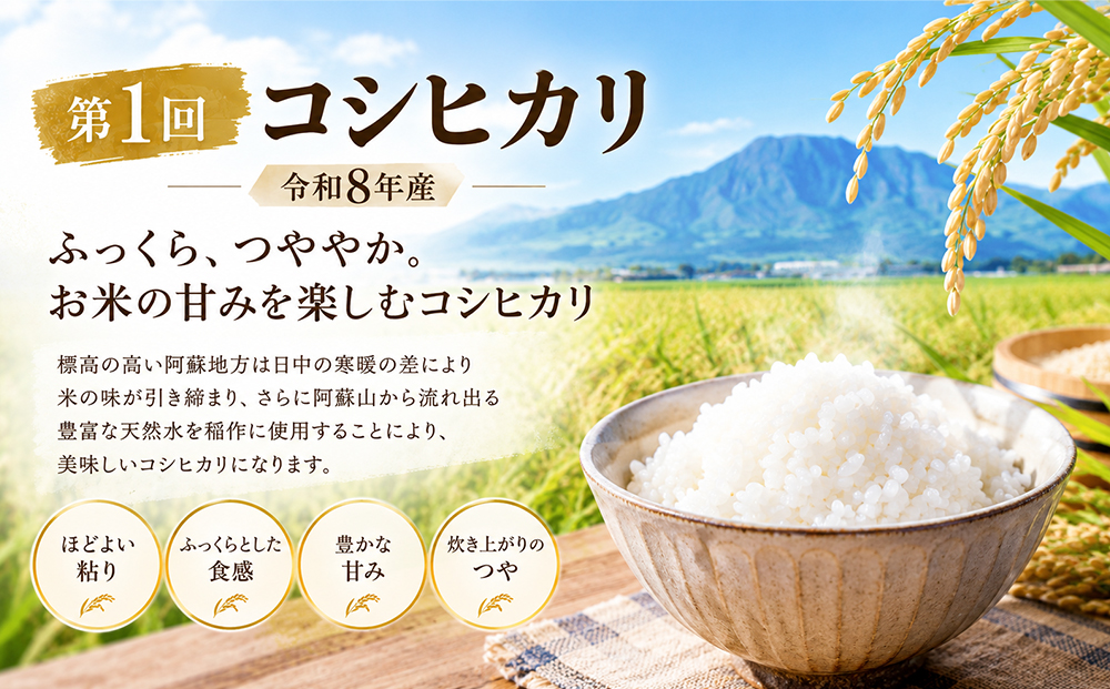 【ANA限定】【3回定期便】毎月違う品種をお届け！ 令和8年産 コシヒカリ ミルキークイーン 森のくまさん 白米 精米 5kg×3回 水穂やまだ 食べ比べ グランプリ獲得 R8年 お米 ごはん 飯 美