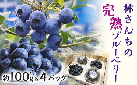 林さんちの完熟ブルーベリー 約100g×4パック 100g ブルーベリー フルーツ 果物 甘い ギフト 贈り物 厳選 オニール トワイライト ユーリカ