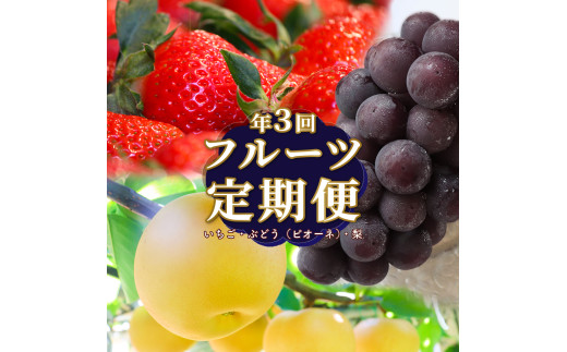 ＜フルーツ 定期便（全３回）＞ ［いちご ピオーネ  梨］  ぶどう fruit 苺 おすすめ 旬 果物 くだもの 高知県 佐川町産