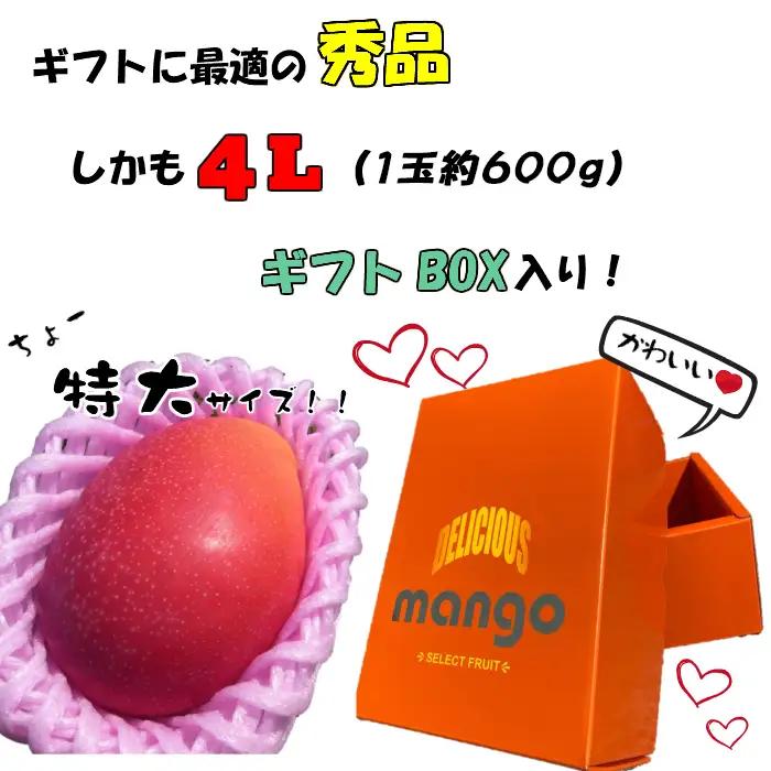 マンゴー 宮崎 完熟 特秀 4L 1玉 マンゴー[約600g 化粧箱入り]