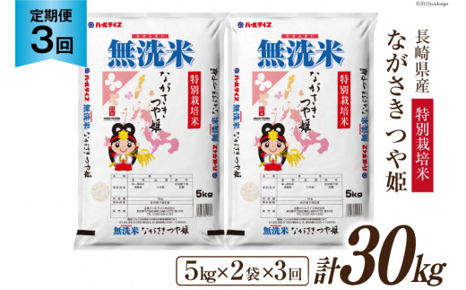 【3回 定期便】長崎県産 つや姫 無洗米 10kg (5kg×2袋)×3回 総計30kg 特別栽培米 [全農パールライス 長崎県 雲仙市 item1246] 米 お米 こめ コメ 精米 白米 定期便