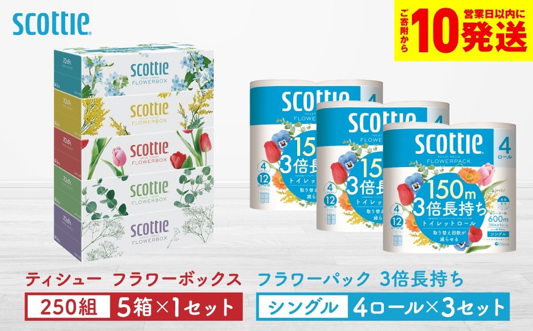 「長持ち」＆「コンパクト」になったスコッティ製品をセットにしてお届け！