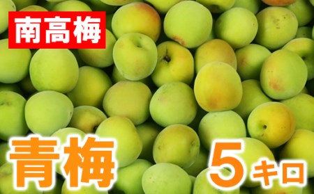 ひらそ農園の青梅 5kg 梅 南高梅 青梅 梅干し 梅酒 梅干 梅シロップ 梅ジャム 5キロ 数量限定 先行予約 6月 ＜004-007＞