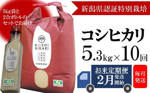 
            【定期便・2月～発送】コシヒカリ 白米 5kg（ペットボトル米 300g 1本付き）×10回 （計 53kg）重ちゃんのお米[Y0252]
          
