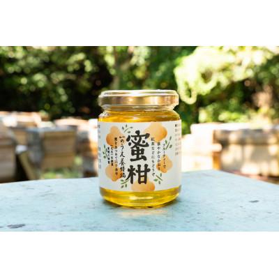 ふるさと納税 内子町 愛媛まるごと蜜柑蜜300g