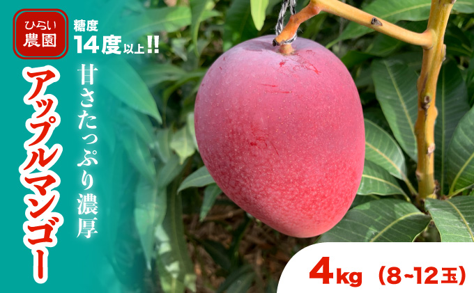 マンゴー 先行予約 沖縄 アップルマンゴー 約4kg 8玉~12玉 西表島 ひらい農園 2026年 発送 果物 フルーツ デザート 完熟 濃厚 027-a027_2026