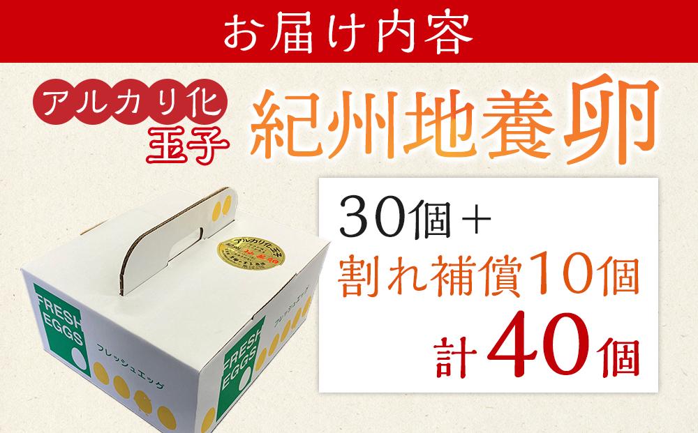 アルカリ化 玉子 紀州地養卵 合計 40個入 (30個＋割れ補償分10個）卵 たまご 玉子 タマゴ 鶏卵 まとめ買い オムレツ 卵かけご飯 朝食 業務用