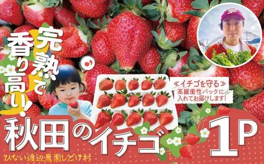 完熟で香り高い！秋田のイチゴ1パック ＜揺りかごパック＞　 45P3407【ひない渡辺農園しどけ村】