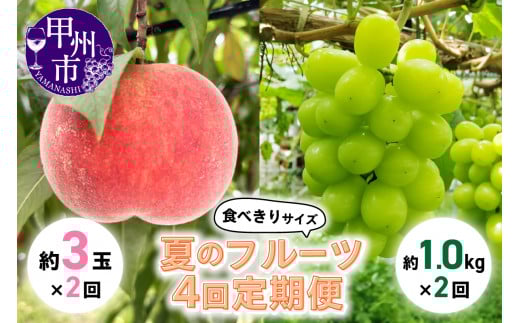 【定期便】食べきりサイズ 夏のフルーツ4回定期便【2025年発送】（KSB）D6-130【 桃 もも モモ シャインマスカット 葡萄 ぶどう ブドウ 令和7年発送 期間限定 山梨県産 甲州市 フルーツ 果物 】
